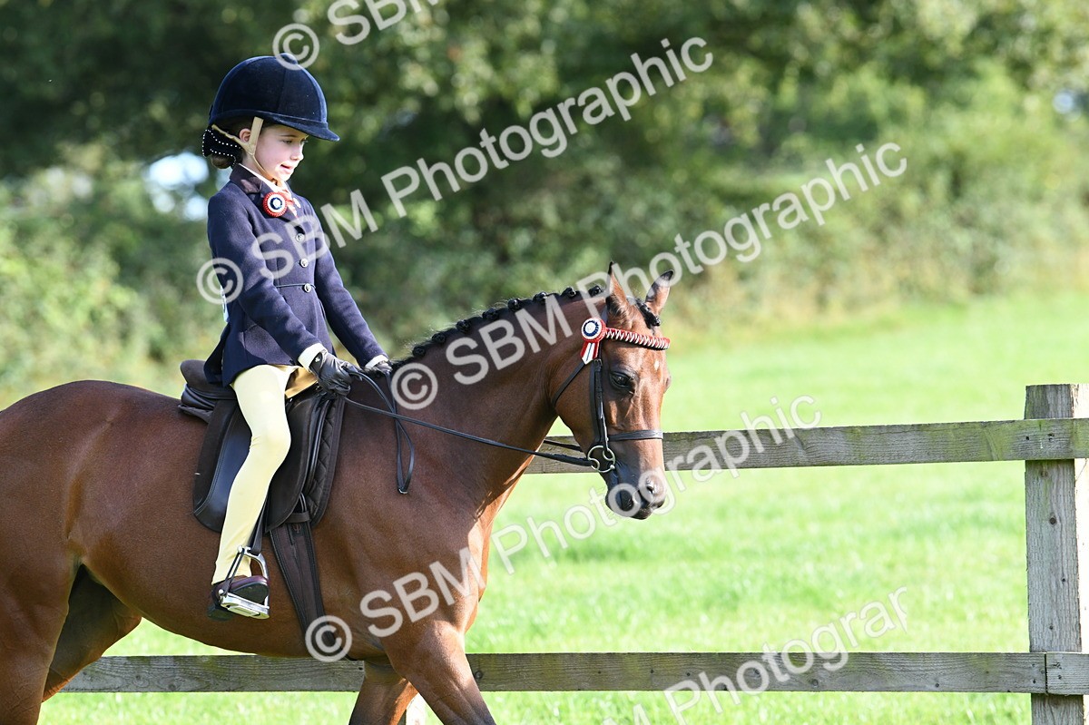 SBM_52357 - S22 - 1st Ridden Show & Show Hunter Pony
