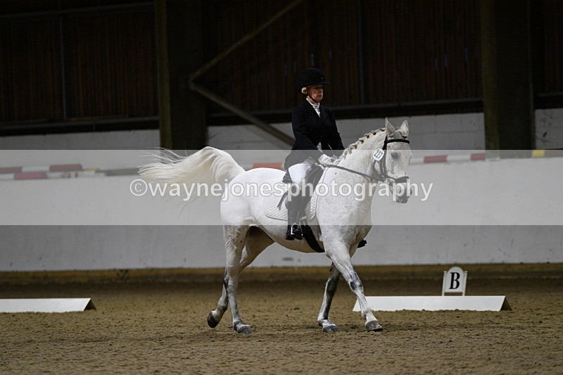 WJ5_8791 - Class 5 Novice Test 3