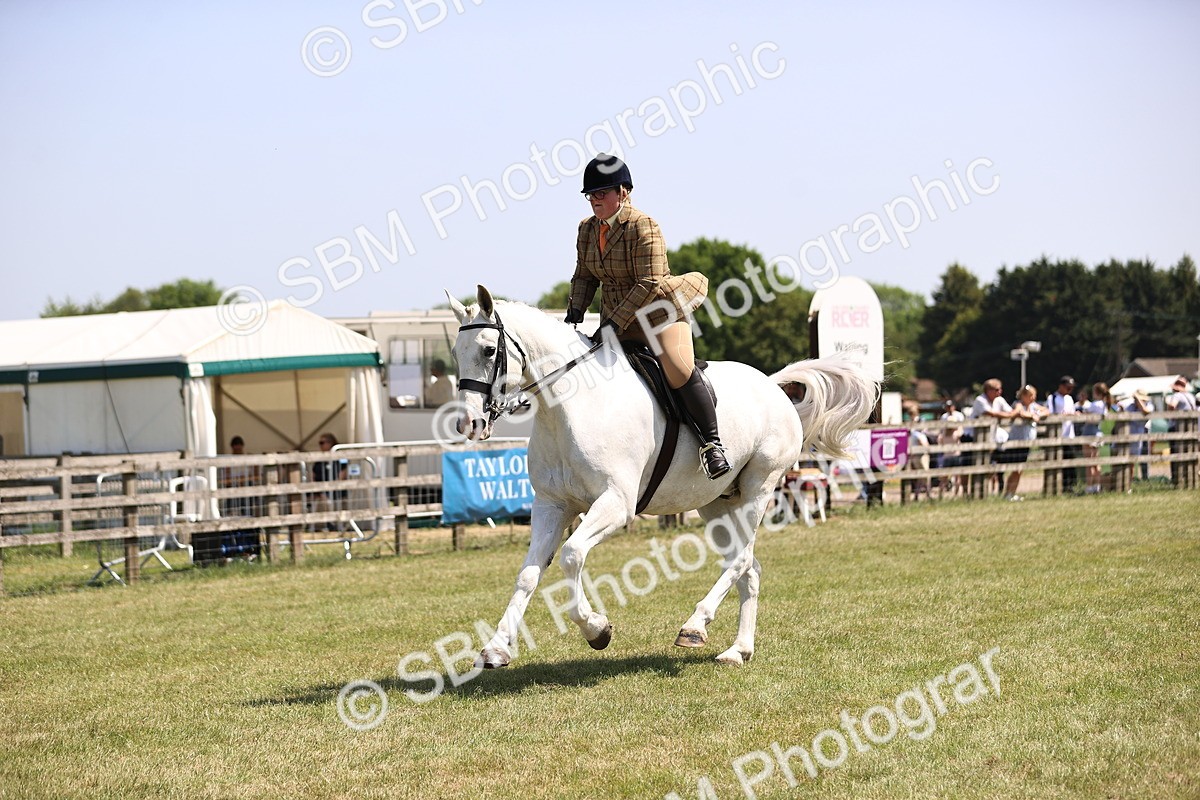 SBM_16122 - Class 79-80 - LIHS BSHA Rising Star Ridden Hunter