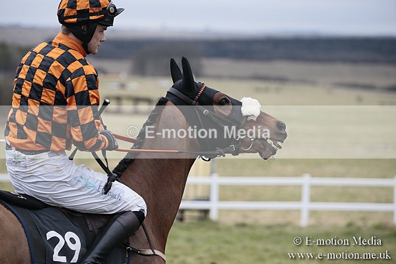 PtP 180218 478 - Combined Services Point-to-Point Larkhill 18/02/18