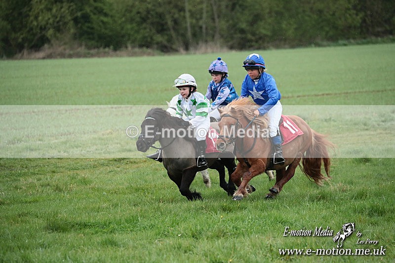 SHETPR 210425 190 - Shetland Ponies Paxford Races 21/04/25