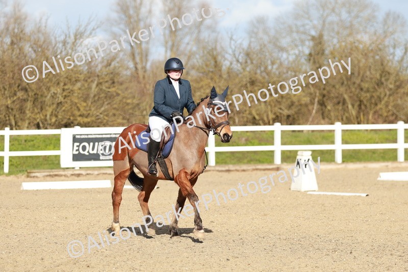 20260314-5311 - DR4 - Prelim 2