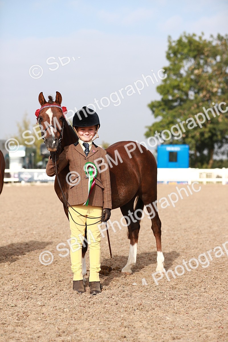 SBM_09940 - Class 203 Young Handler, 10 years and under