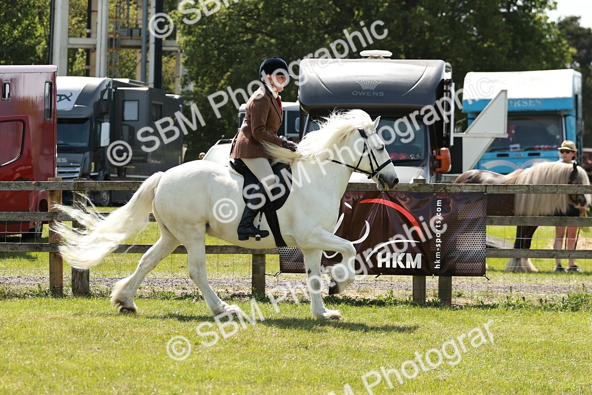 SBM_07065