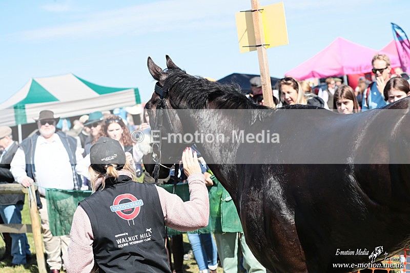 PtP 060426 213 - Paxford Races North Cotswold Easter Mon 06/04/26