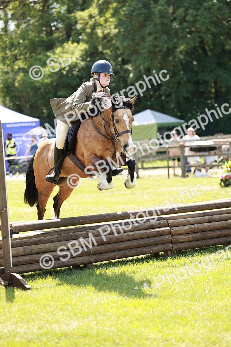 SBM_16348 - Class 110-111 - Training Stakes (70cms 80cms)