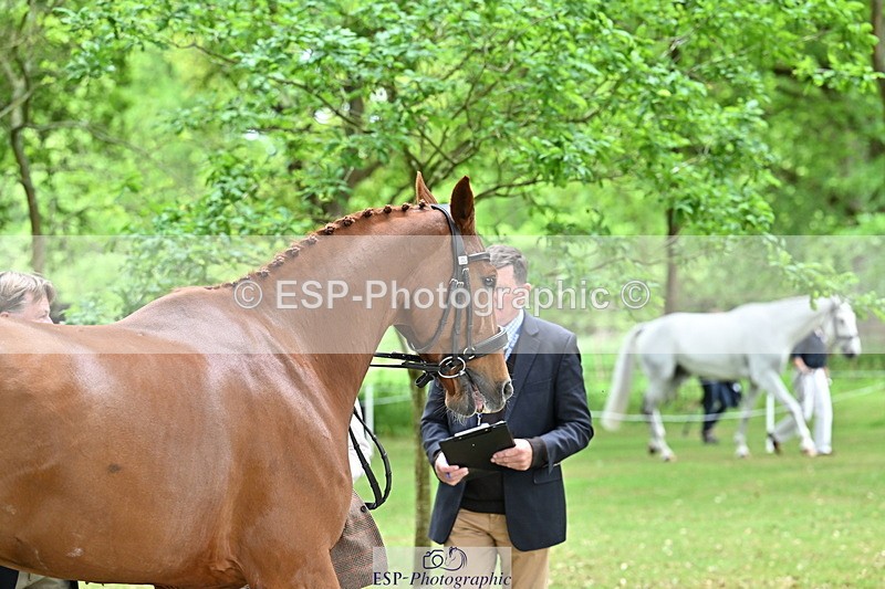 250521A-144915-00266 - A-062-Finn.Healy-GREANNANSTOWN.MONBEG.JOE