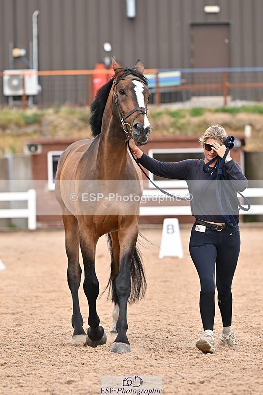 250716-161921-02560 - Trot Up 3.30 to 4.30