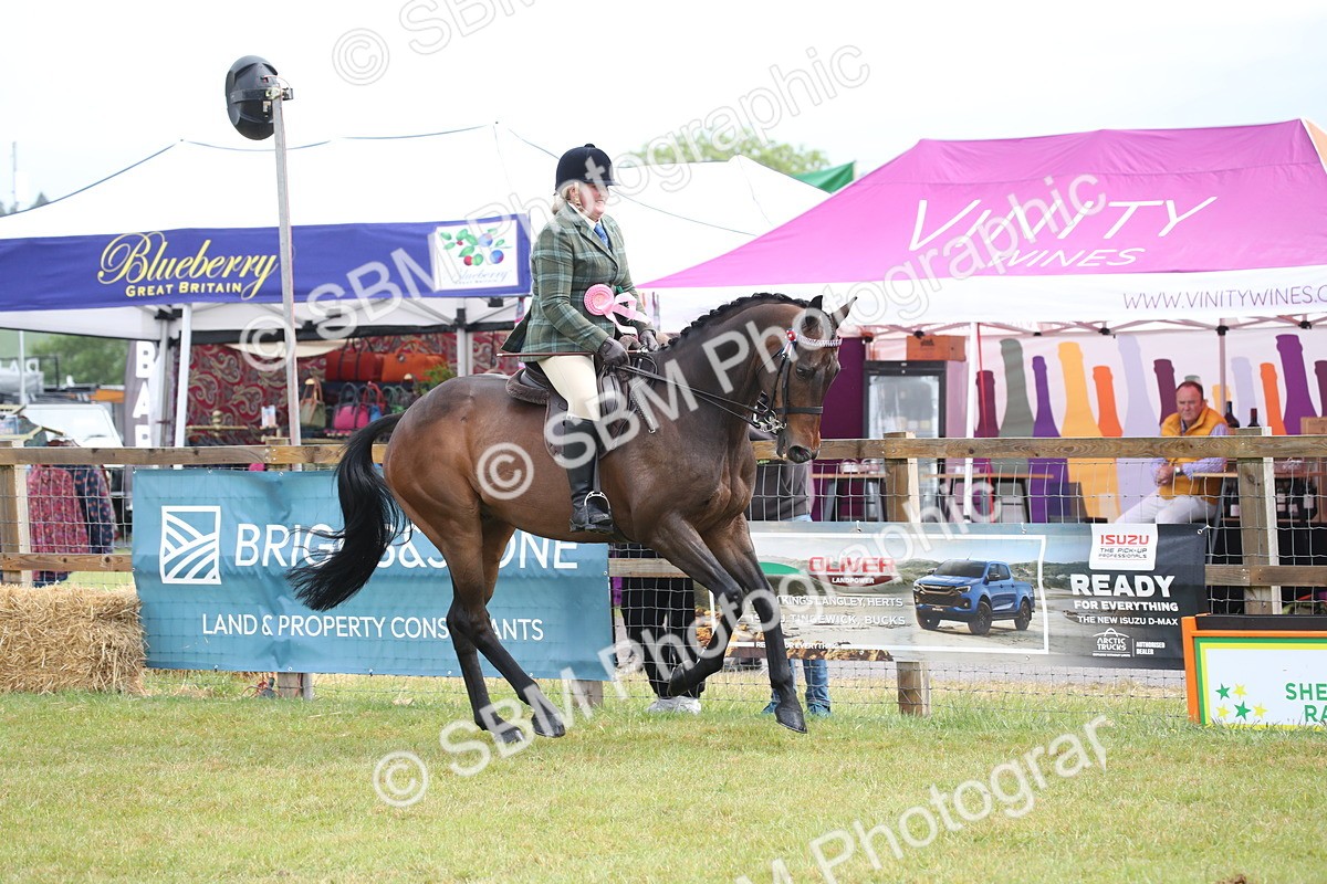 SBM_11490 - Class 94 - LIHS BSHA Racehorse to Showhorse