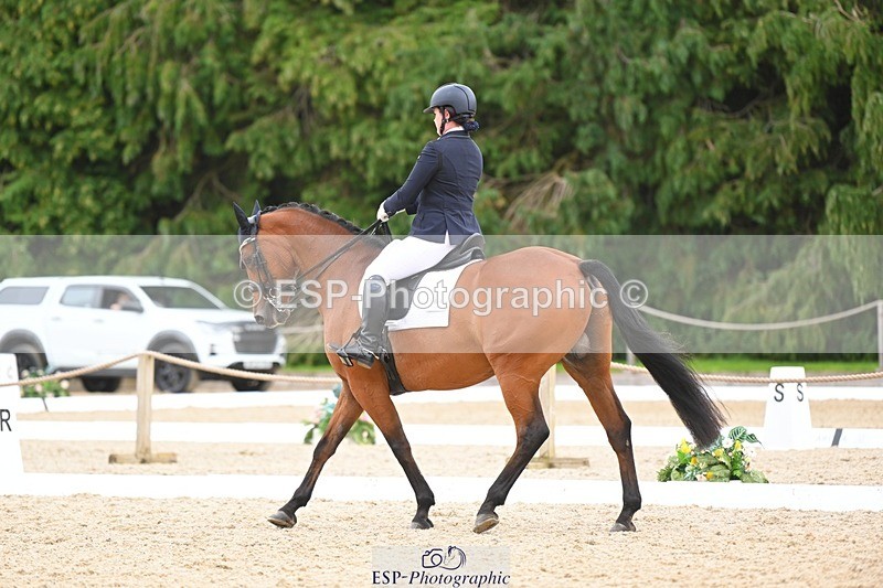 230813-132229-07551 - Cls 13 Medium Bronze 13.15 to End