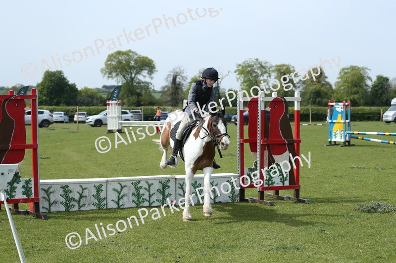 20260426-1773 - Class 14 - Novice 60cm