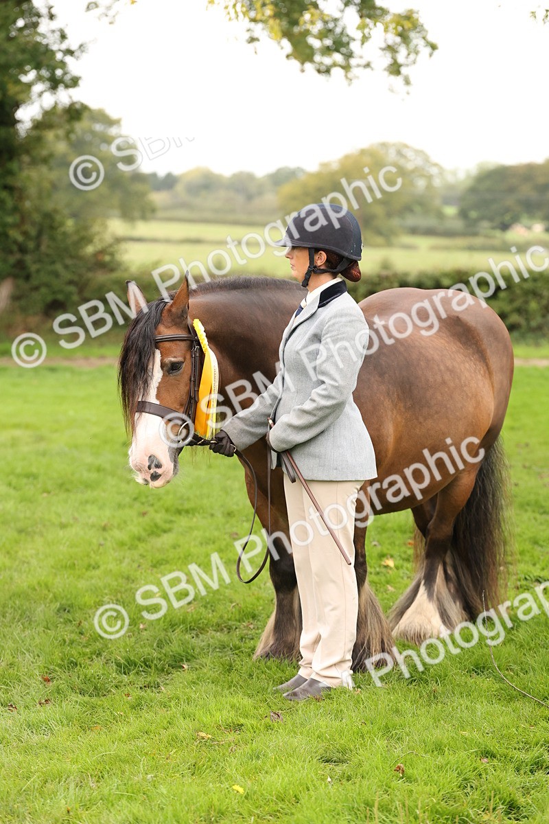 SBM_59377 - S57 - Traditional Cob In Hand