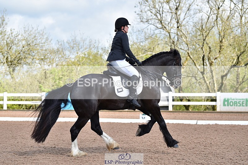 230511A-100810-00212 - BD Cls 2 Prelim 17A