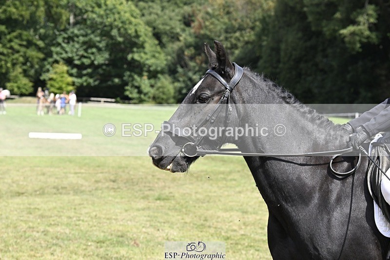 250822A-123853-21868 - DR 12.00 to End