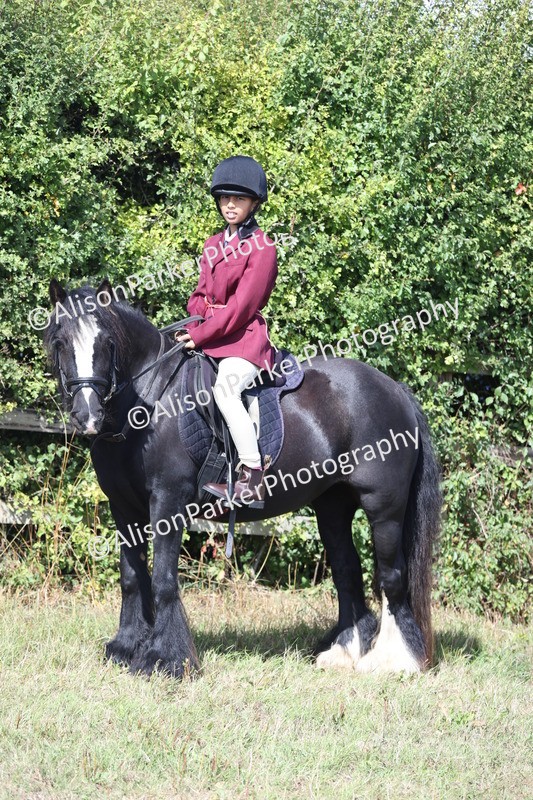 20250831-2527 - Class 16 - Family Pony