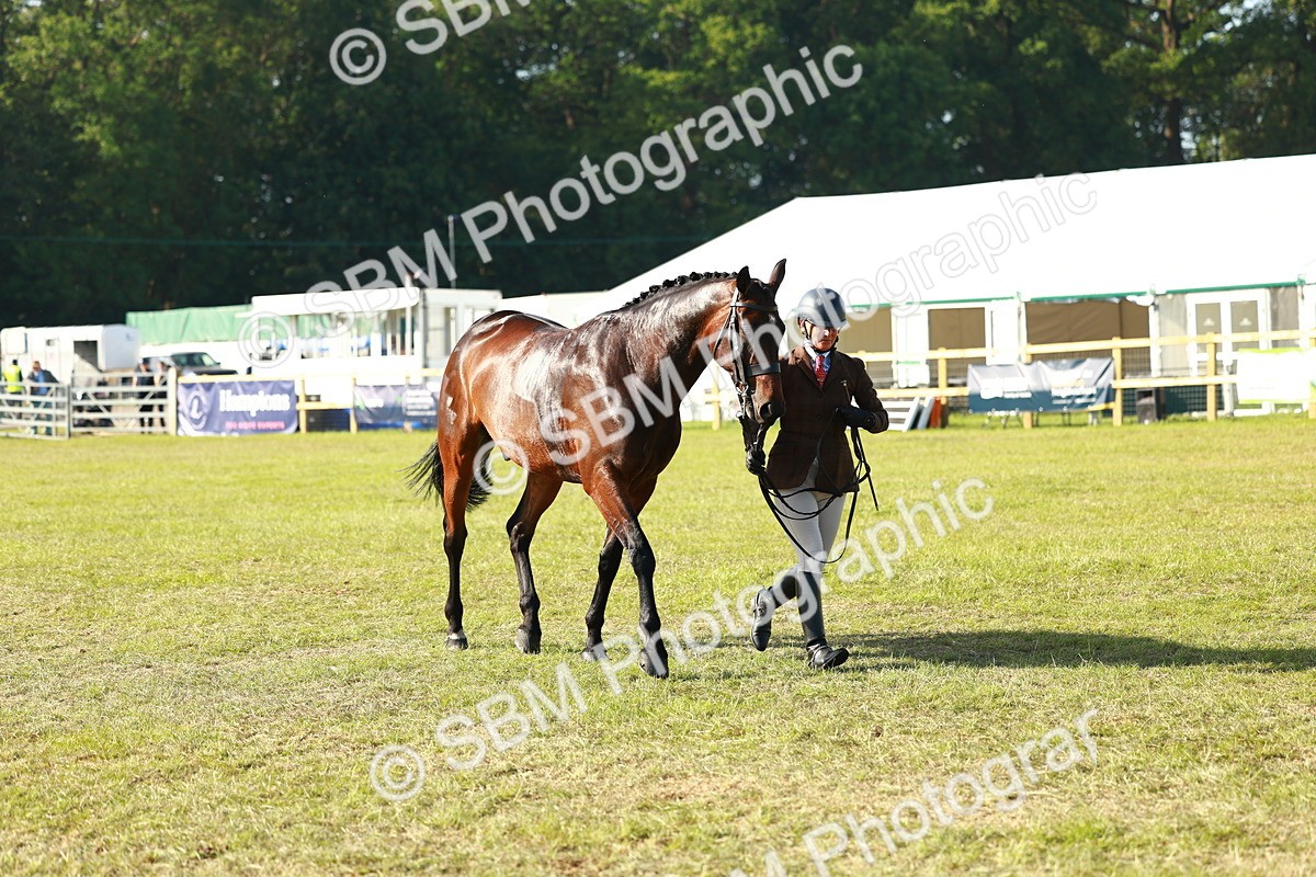SBM_10801 - Class 66-69 - RIHS Ridden Hunters Inc Small Hunter