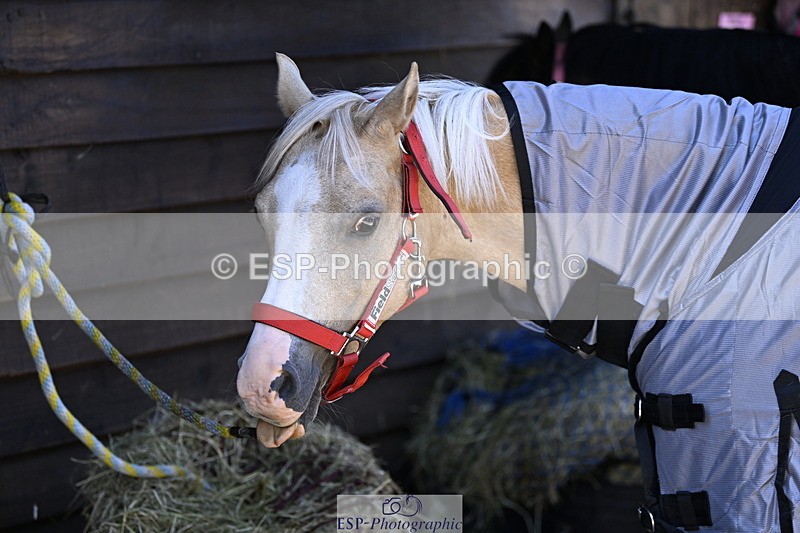 240728B-114858-00337 - Sunday Stable Shots and Fancy Dress