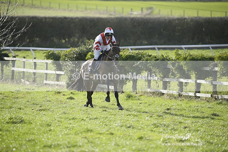 PtP 260222 799 - Kingston Blount Racing Club Point-to-Point 26/02/22