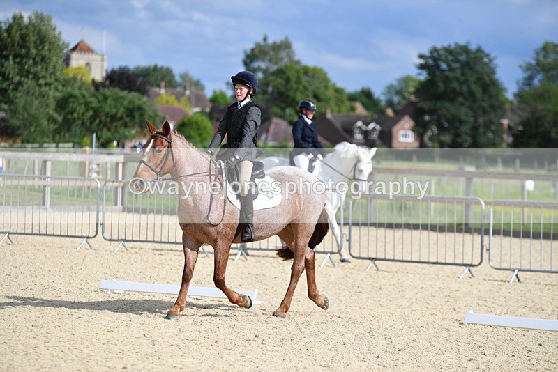 WJ5_7958 - Time 16:56 to 17:14