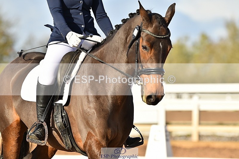 231104A-133656-01859 - Cls 10 Medium 61