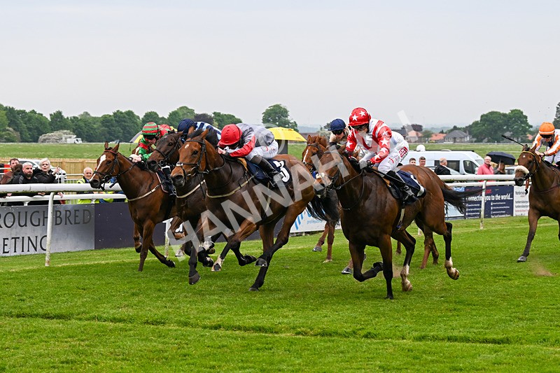 140524-Race 4-Bella Kopella-2052 - Race 4