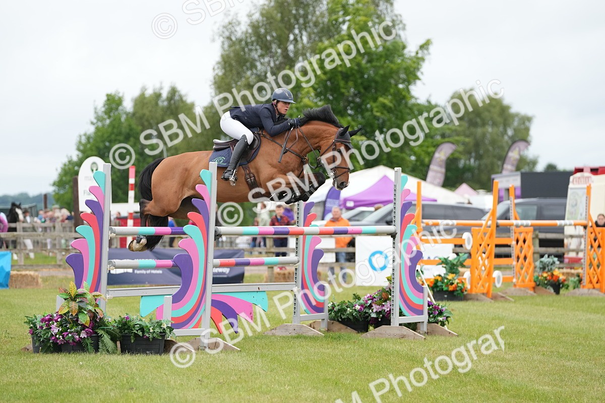 SBM_03246 - Class 201 - British Horse Feeds Speedi Beet Horse of the Year Show Grade  C