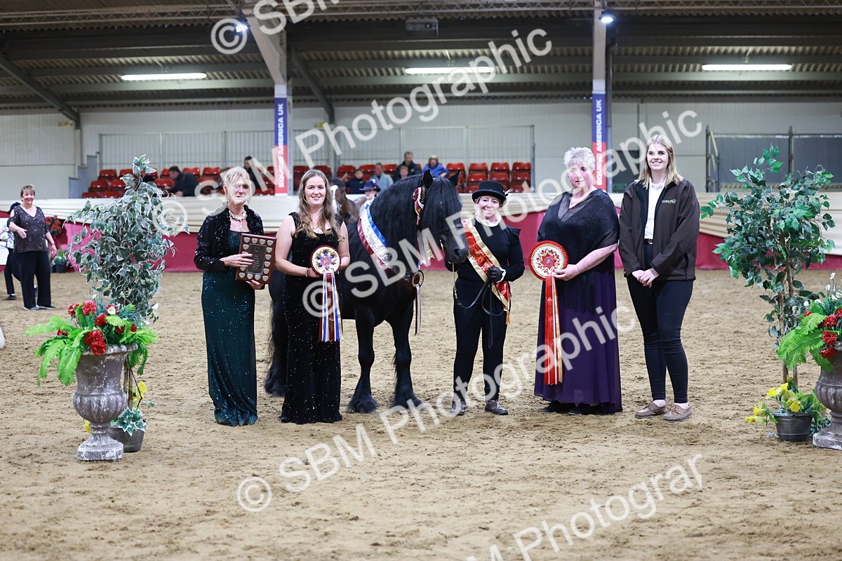 SBM_20426 - Class F - IH Small (148cm & Under)Champ