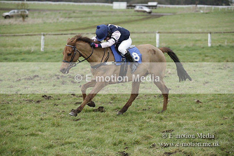 PtP 150320 0787 - New Forest Point-to-Point Larkhill 15/03/20
