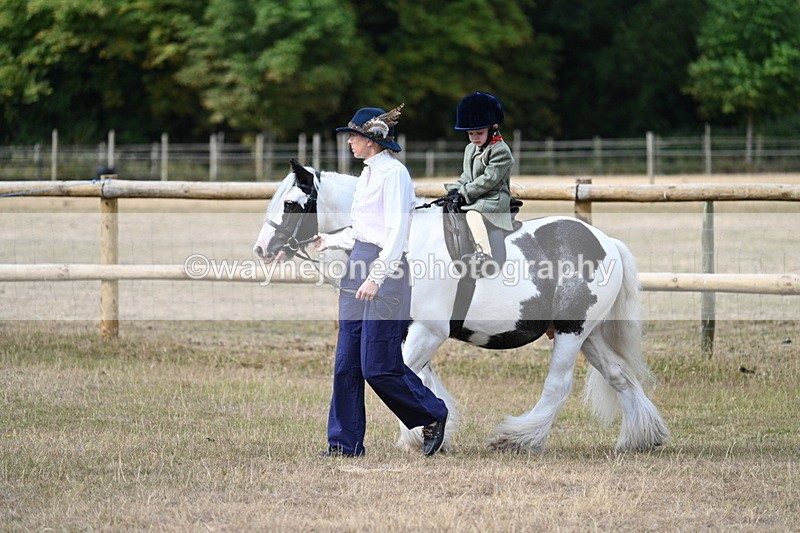 WJ7_6291 - Class 1 Lead Rein Pony