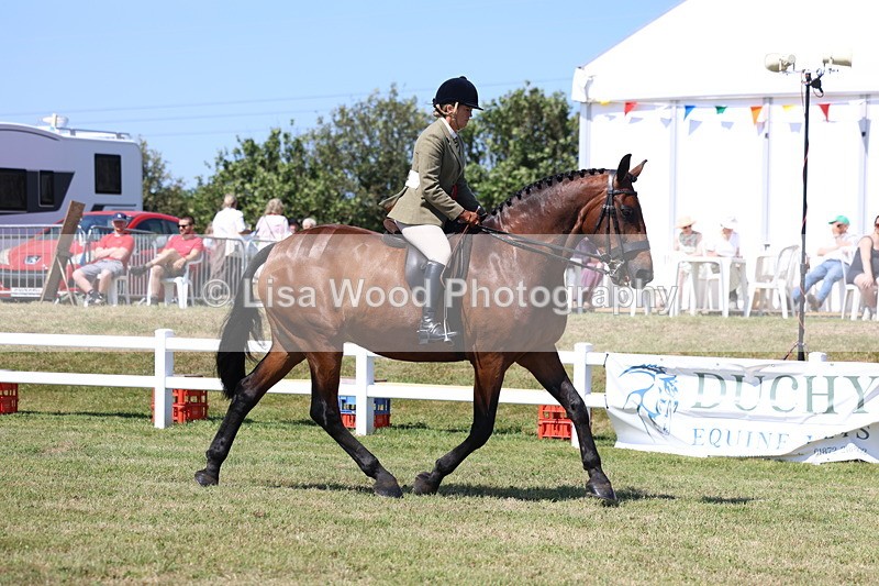 3E7A7479 - Rising Star Ridden Championship