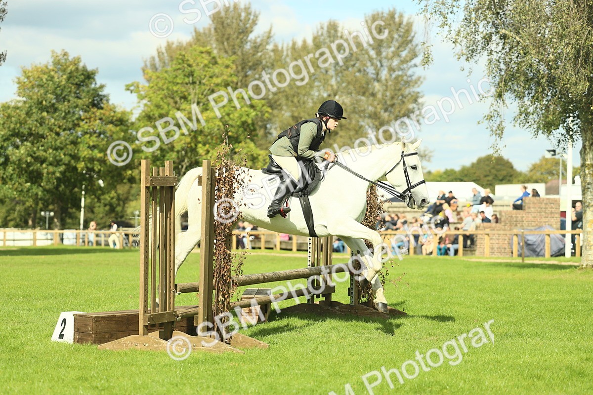 SBM_48033 - S32 - Novice & Newcomers Working Hunter