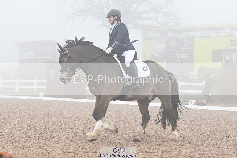 240217A-125721-02724 - 251-Alison.Crimp-Crwys.Beau