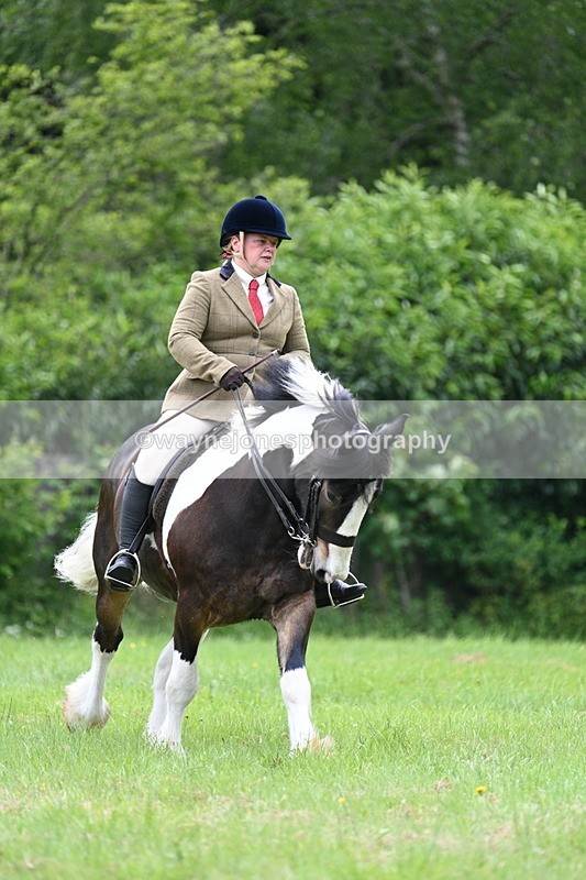 WJ7_2353 - Class 12A Coloured Class