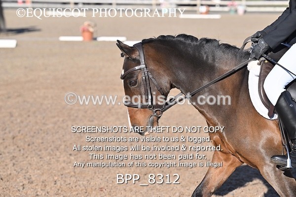 BPP_8312 - LONG ARENA PRELIM 5