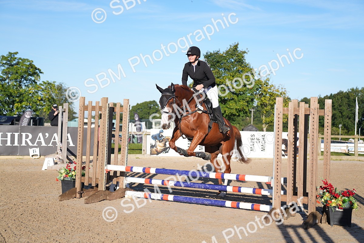 SBM_14012 - J59 - Clear Round - 65cm