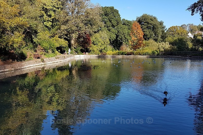 Reflections on the lakes at Cockington - Cockington