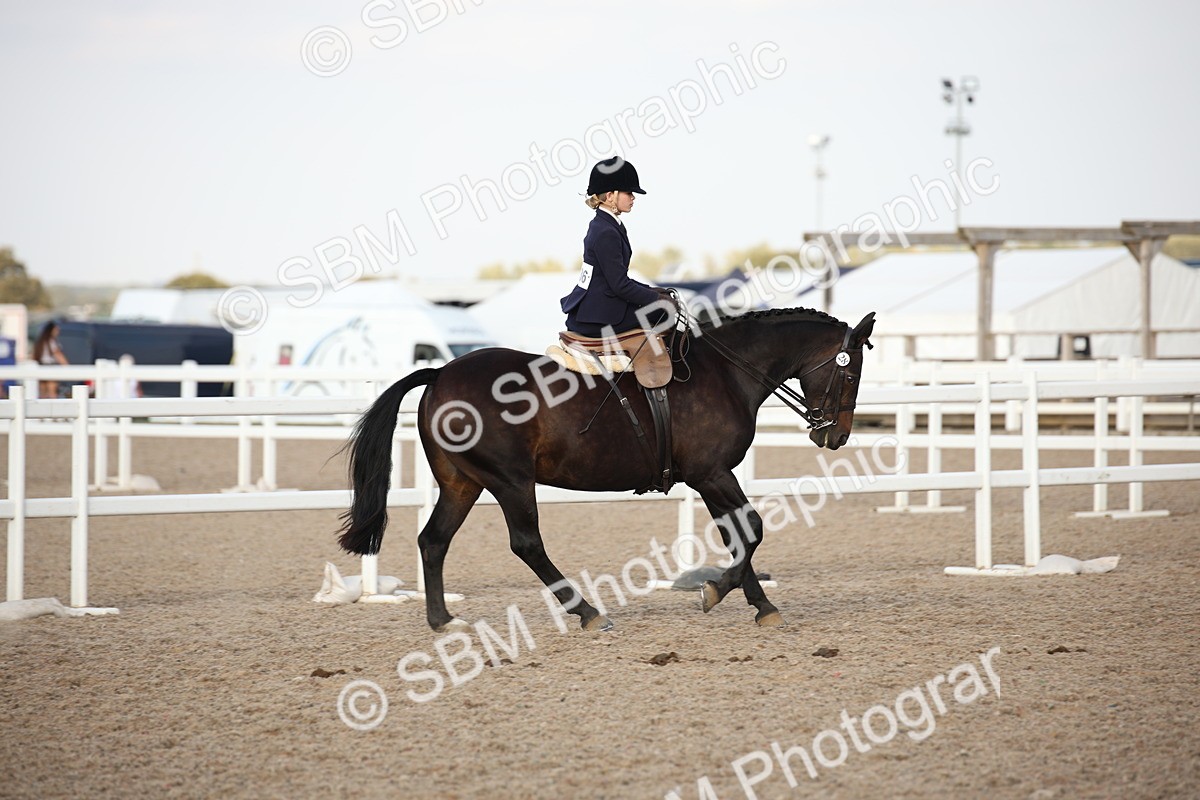SBM_09198 - Regional Ridden Champ