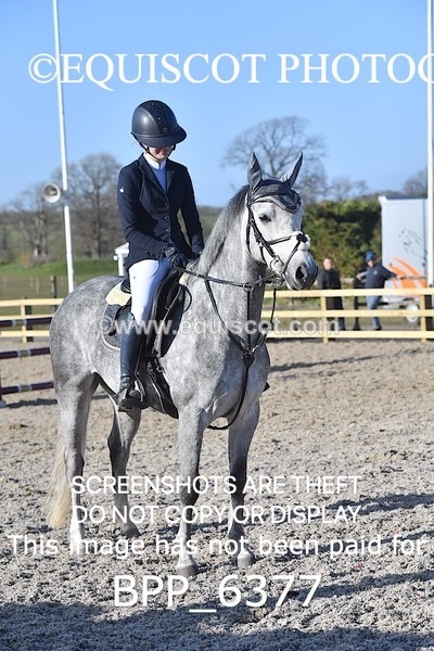 BPP_6377 - CLASS 9 SAT Pony Discovery / 90cm Open