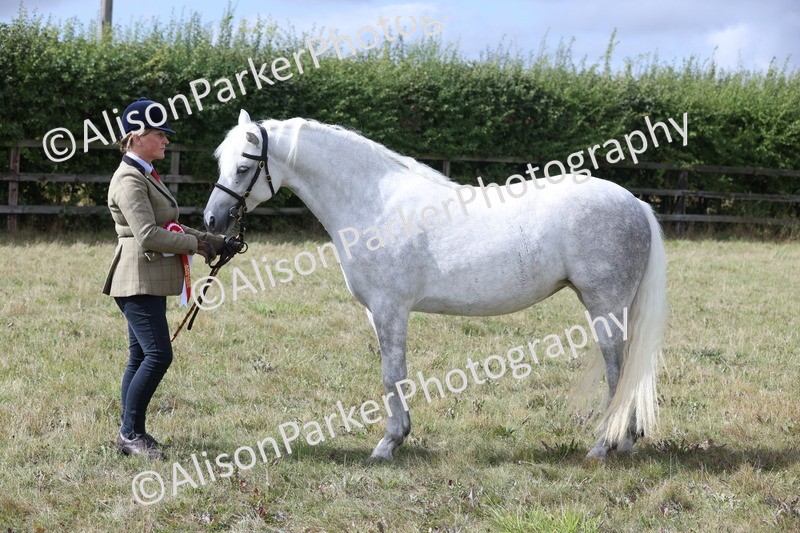 20250831-1681 - Class 22 - Mountain and Moorland Inhand