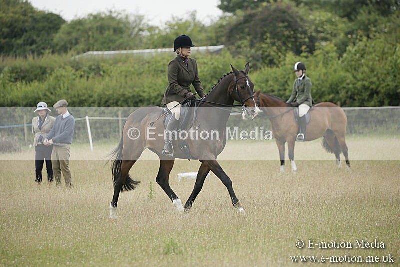 B230619-0332 - Bourne Valley Riding Club Summer Show 23/06/19