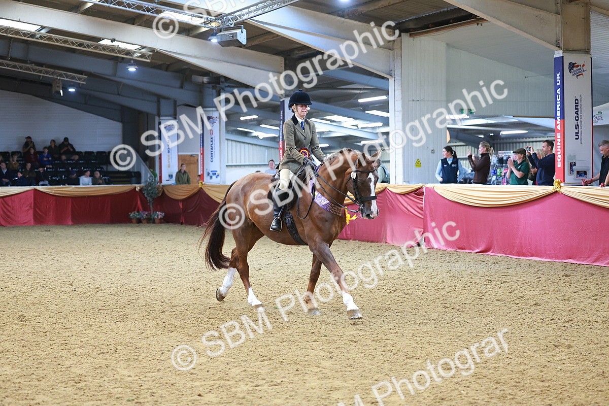 SBM_12710 - Class 103 - HOYS Veteran Qualifier - Ridden Pre Vet