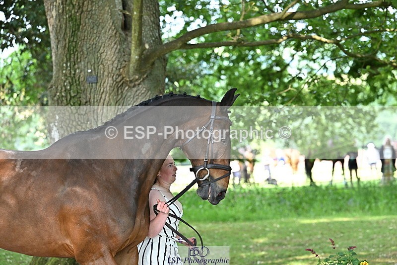 250521A-164059-01278 - C-252-Zoe.Boyles-SAM