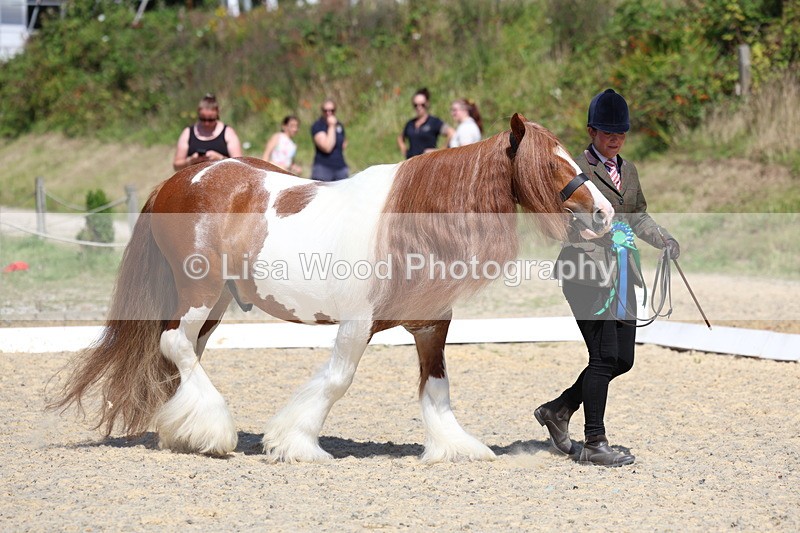 3E7A9809 - In Hand Championship