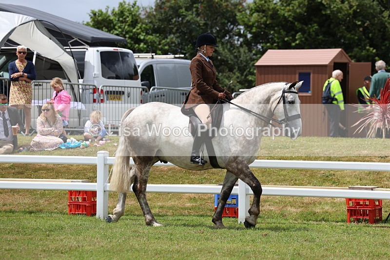 3E7A1824 - Class 10: Open Cob