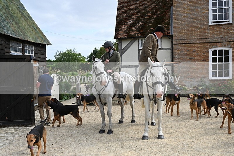 WJ6_3382 - Berks & Bucks - The Old farmhouse - Hound Exercise 20-08-25