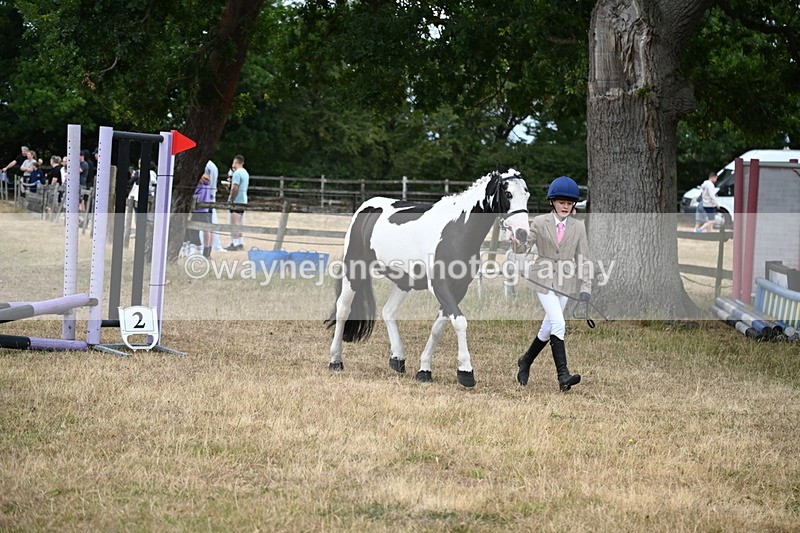 WJ6_8108 - Class 10 Coloured in Hand
