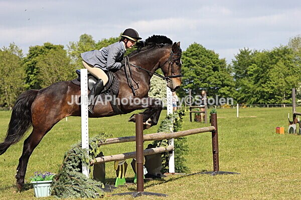 IMG_4771 - Working Hunter