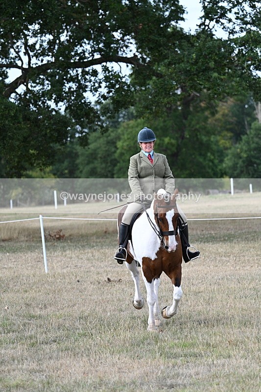 WJ7_7235 - Class 14 Ridden Coloured