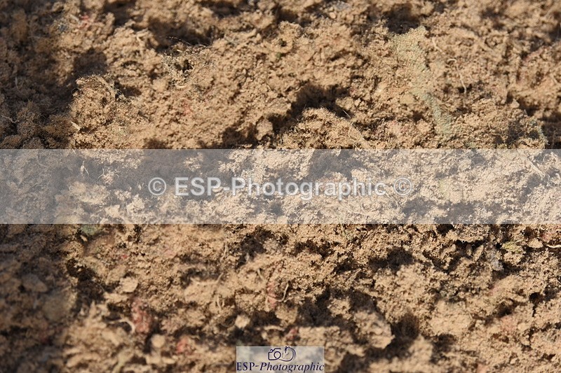 230906A-100820-00029 - British Novice & 90cm Open