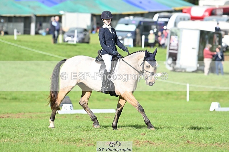 231020-141631-10862 - 664-TEMPLEMORE.WILD.ONE-Bella.Stevens-DR